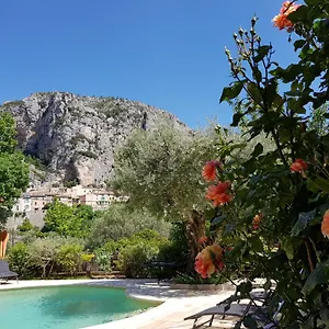  Couette-café Bastide Des Oliviers